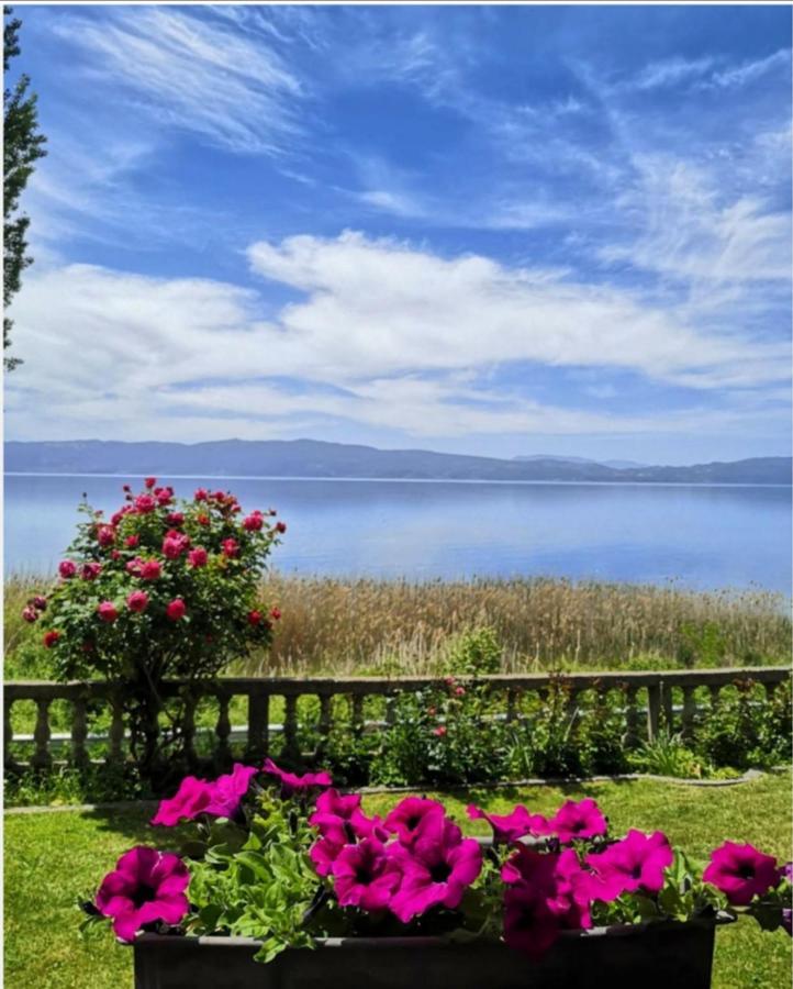 Villa Stefan Ohrid Exterior foto